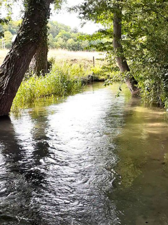 La rivière la Celle La rivière la Celle