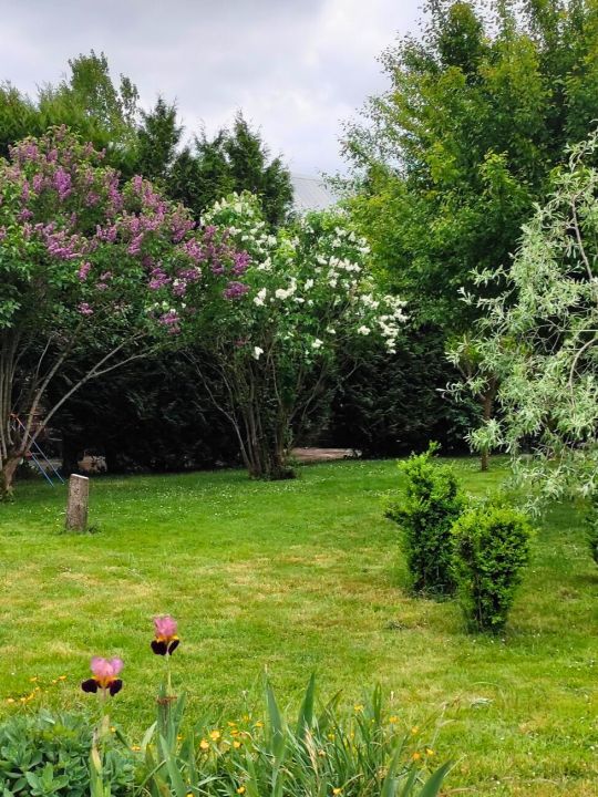 Le Jardin du Moulin — Un espace extérieur comprenant une partie en herbe, la terrasse devant le gîte, le terrain de pétanque et le parking, pour profiter du Moulin en plein air.<br /> Le Jardin du Moulin — Un espace extérieur comprenant une partie en herbe, la terrasse devant le gîte, le terrain de pétanque et le parking, pour profiter du Moulin en plein air.<br />